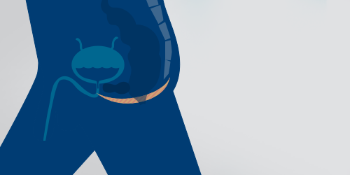 Illustrated icon of bladder Illustrated icon of bladder